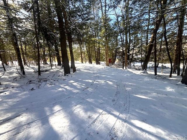 Single Family Park  Sullivan County, NY 12792, MLS-956608-21