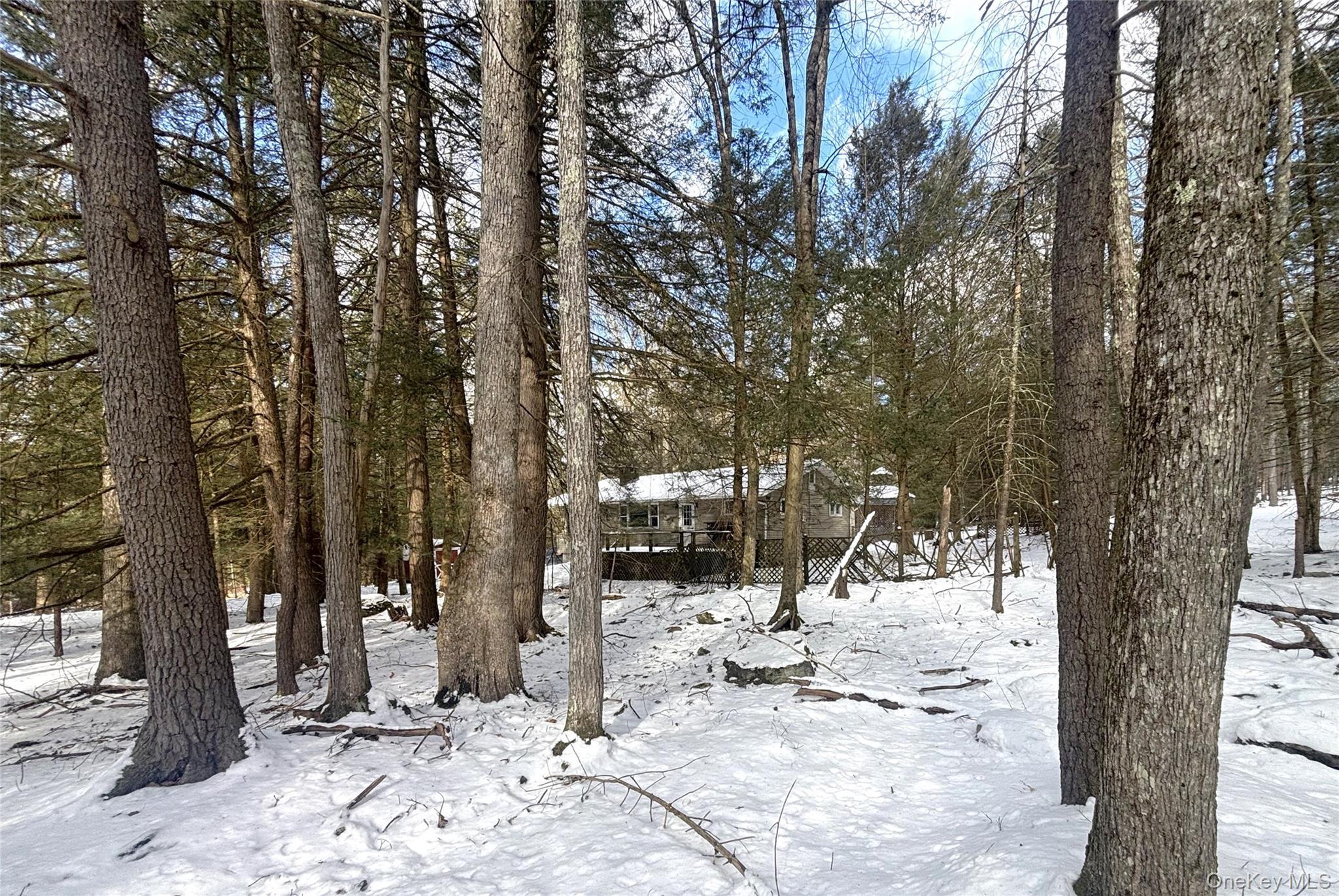 Single Family Park  Sullivan County, NY 12792, MLS-956608-22