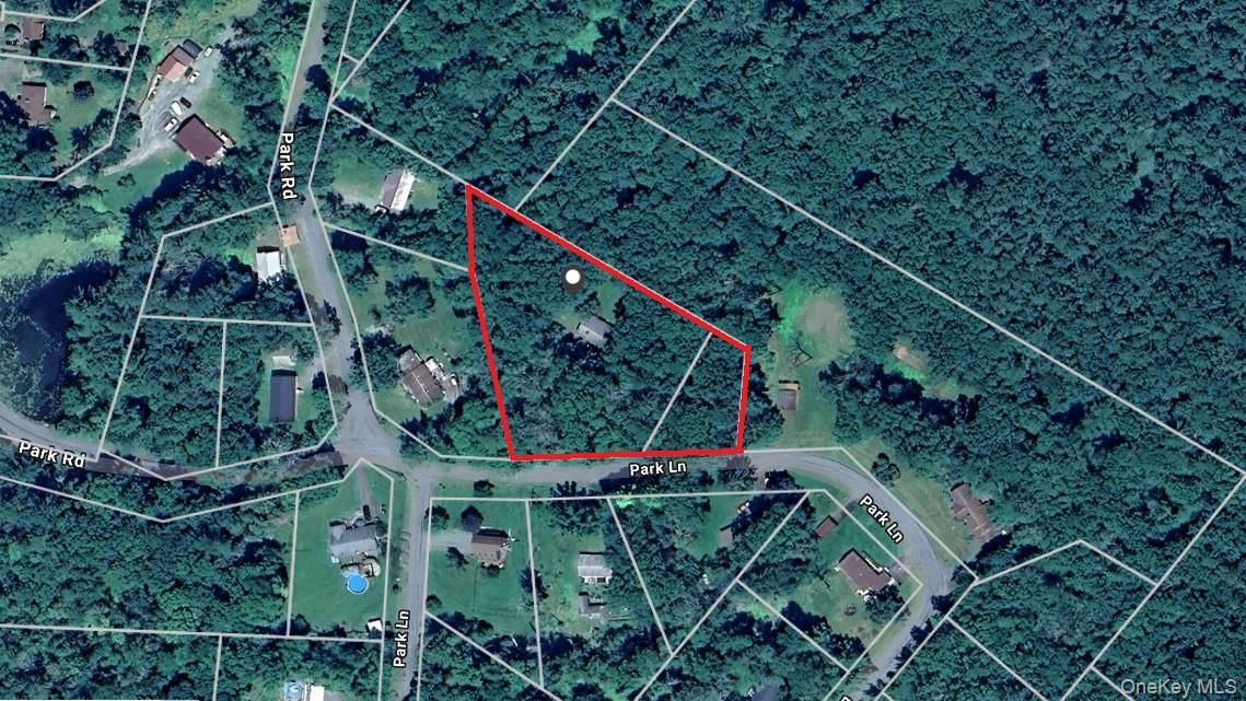Single Family Park  Sullivan County, NY 12792, MLS-956608-26