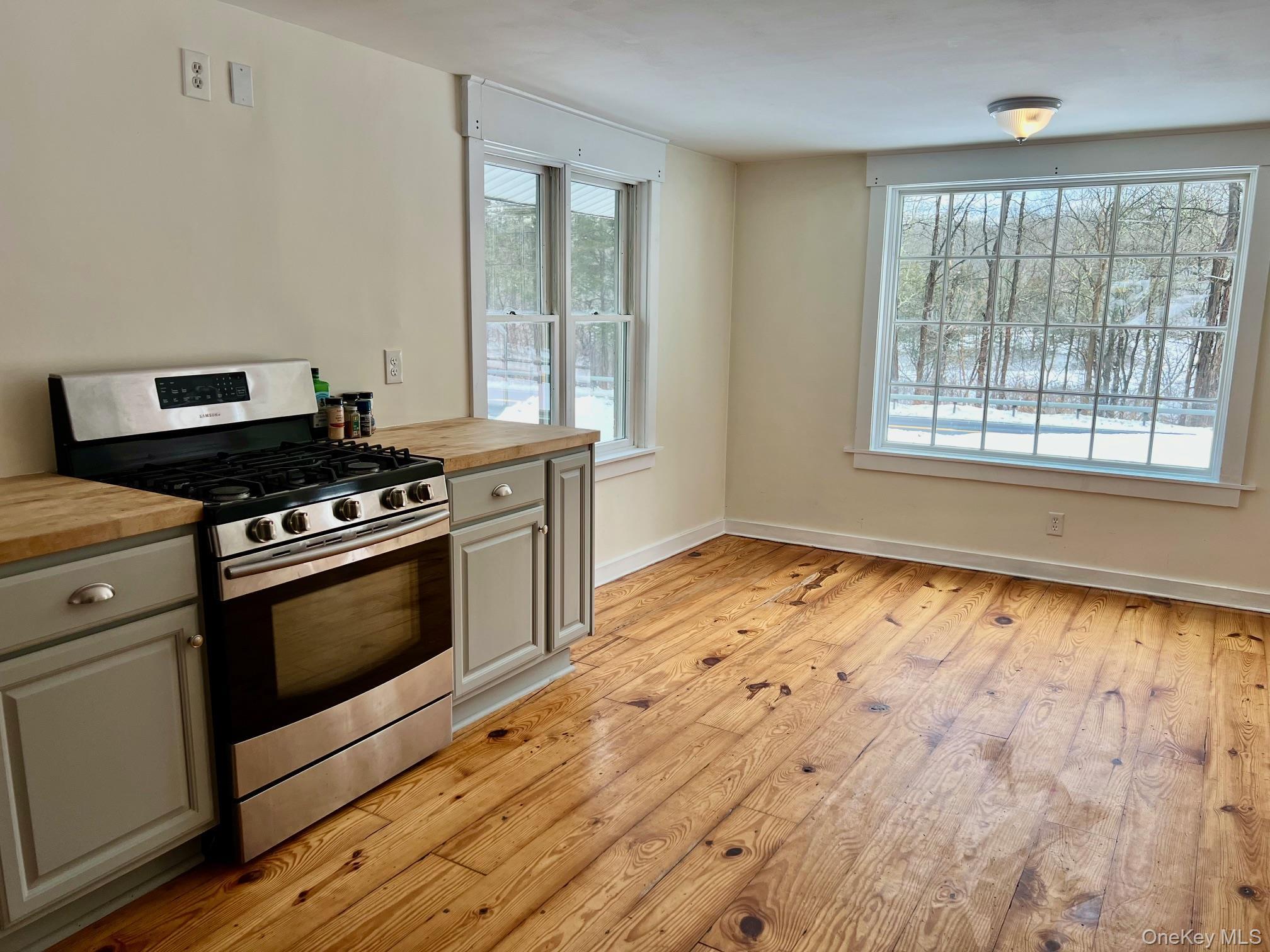 Single Family Salt Point  Dutchess County, NY 12569, MLS-956697-8