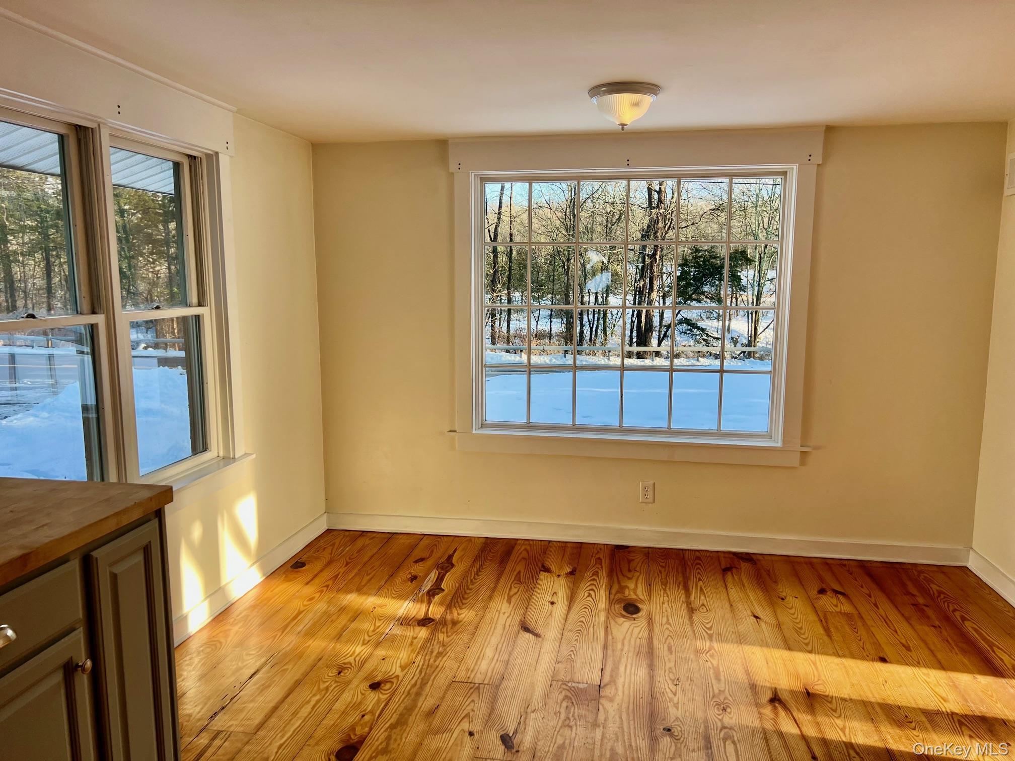 Single Family Salt Point  Dutchess County, NY 12569, MLS-956697-9