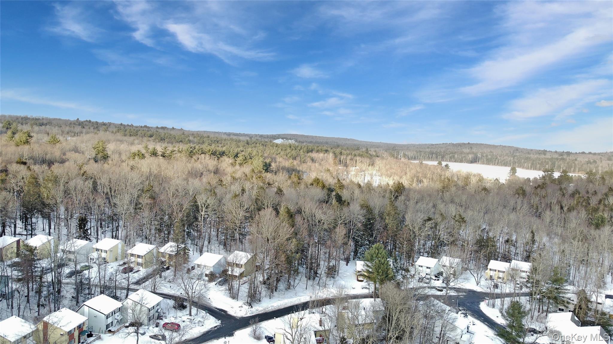 Single Family Peter  Sullivan County, NY 12751, MLS-956701-28