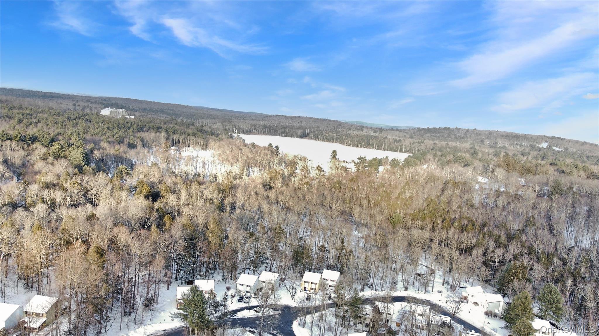 Single Family Peter  Sullivan County, NY 12751, MLS-956701-29