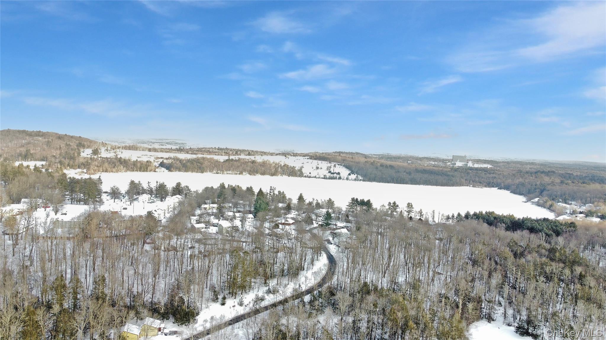 Single Family Peter  Sullivan County, NY 12751, MLS-956701-30