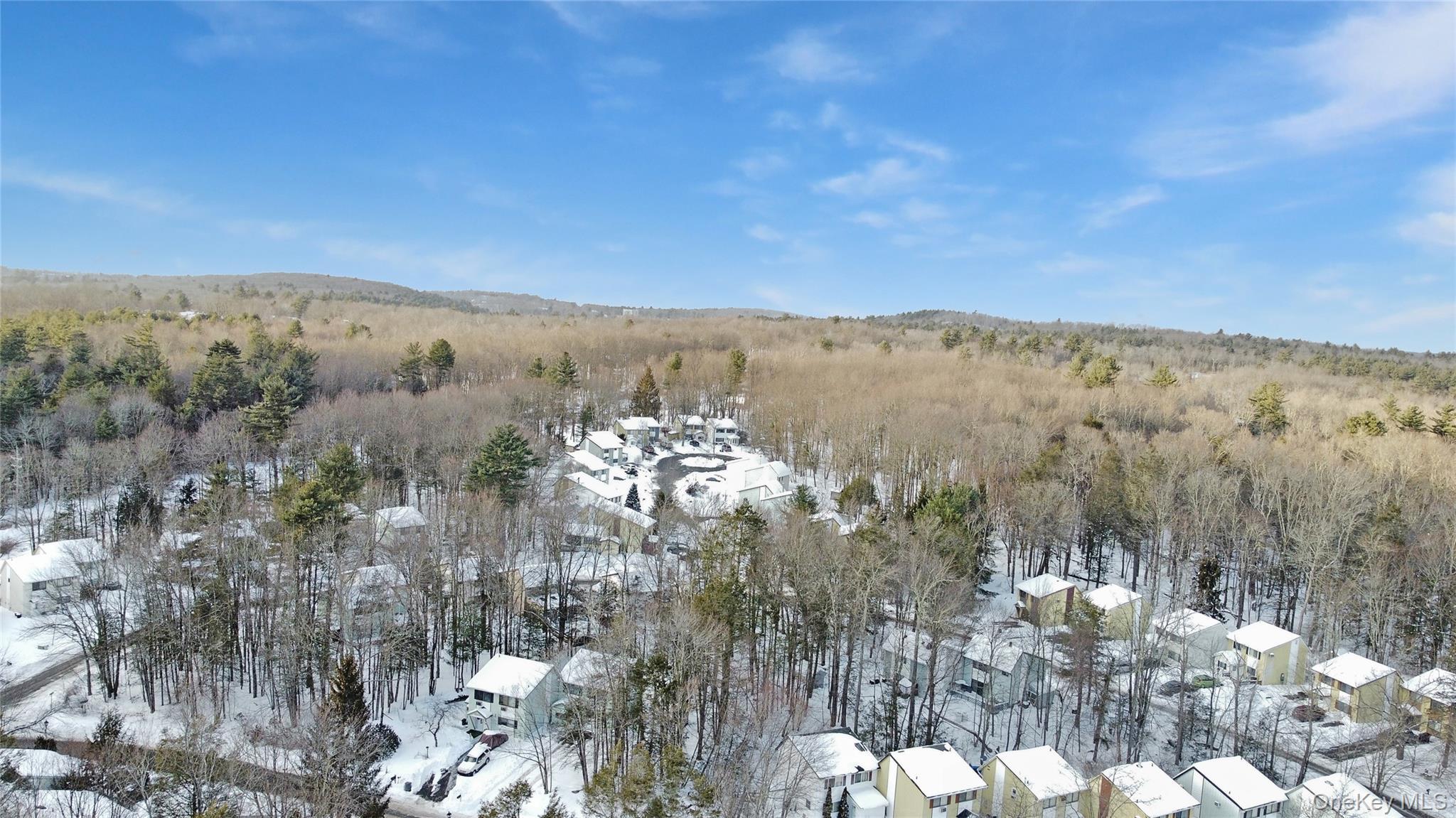 Single Family Peter  Sullivan County, NY 12751, MLS-956701-31