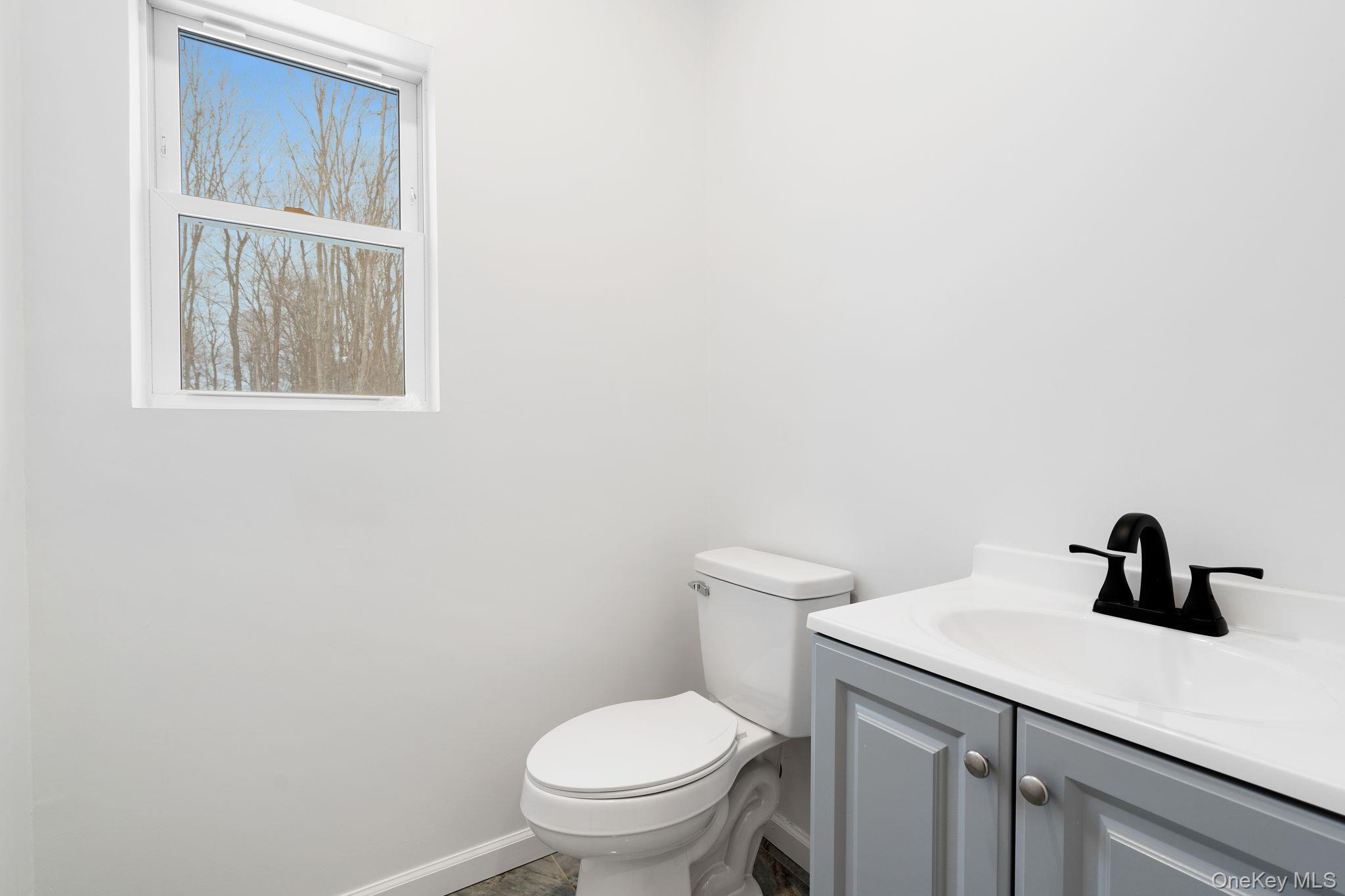 Single Family Northern  Orange County, NY 12586, MLS-956714-10