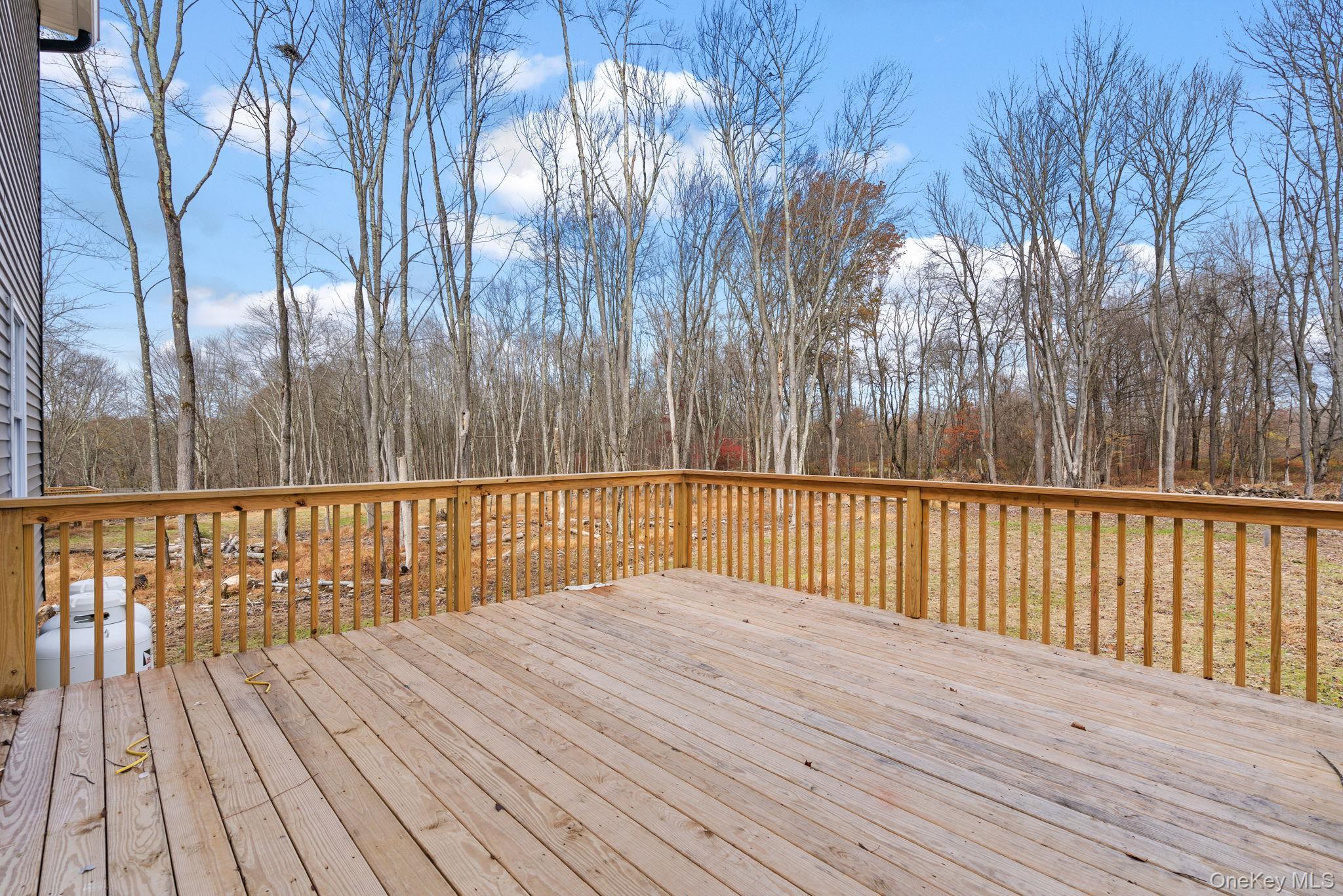 Single Family Northern  Orange County, NY 12586, MLS-956716-33