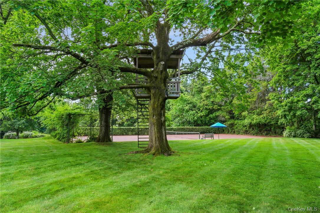 Single Family Sarosca Farm Lane  Westchester County, NY 10577, MLS-956753-33