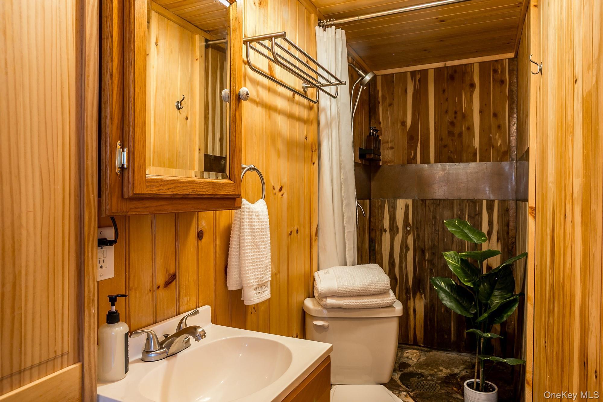 Single Family High Falls Road  Greene County, NY 12414, MLS-956758-25