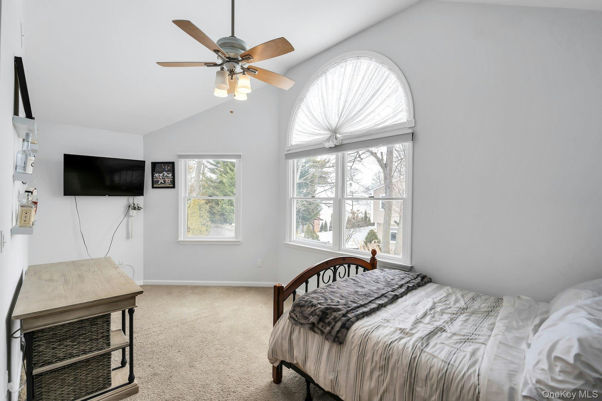 Single Family Ripley Nassau County, NY 11566, MLS-956874-28