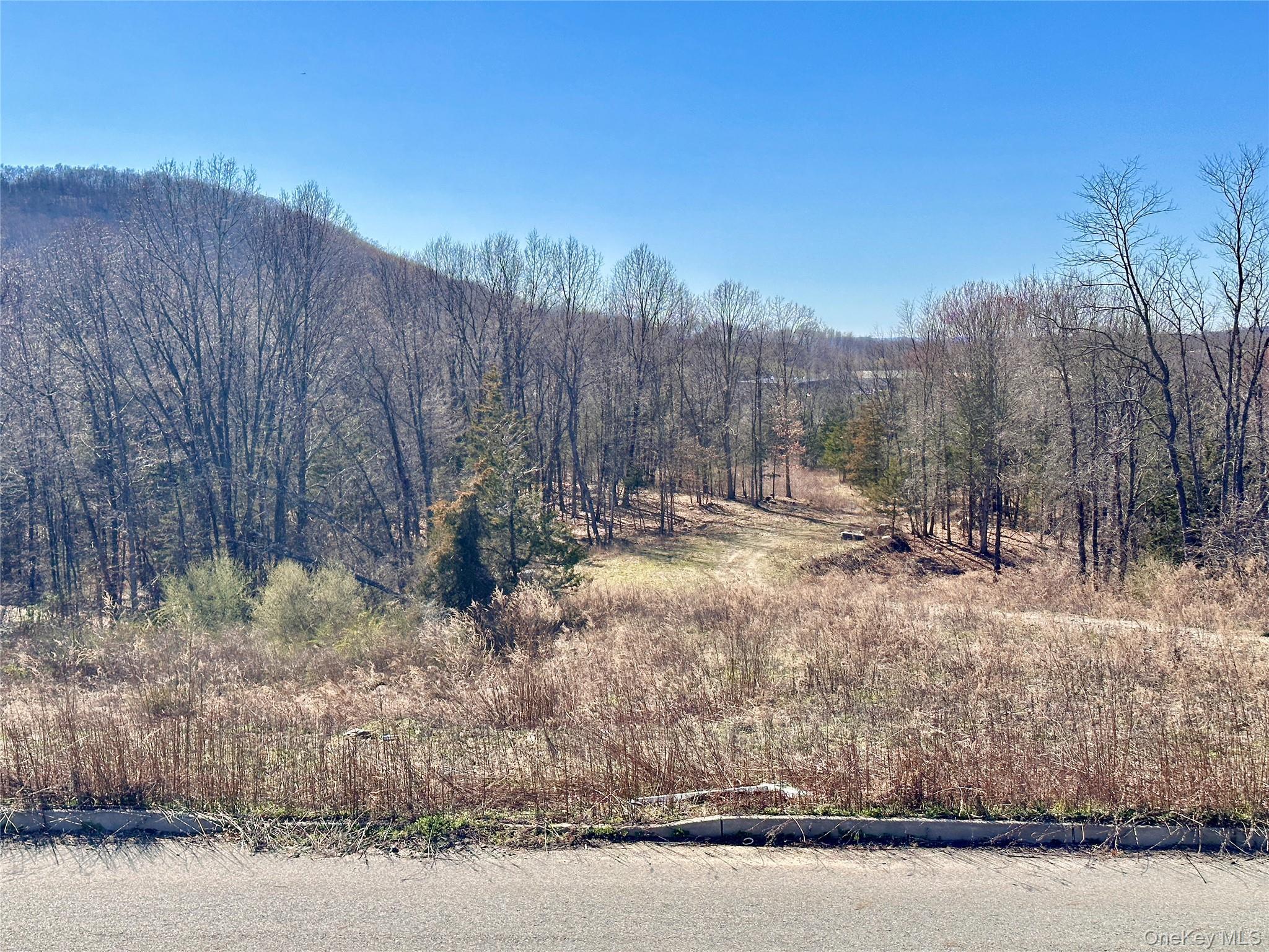 Single Family Mountainside  Orange County, NY 10918, MLS-956879-8