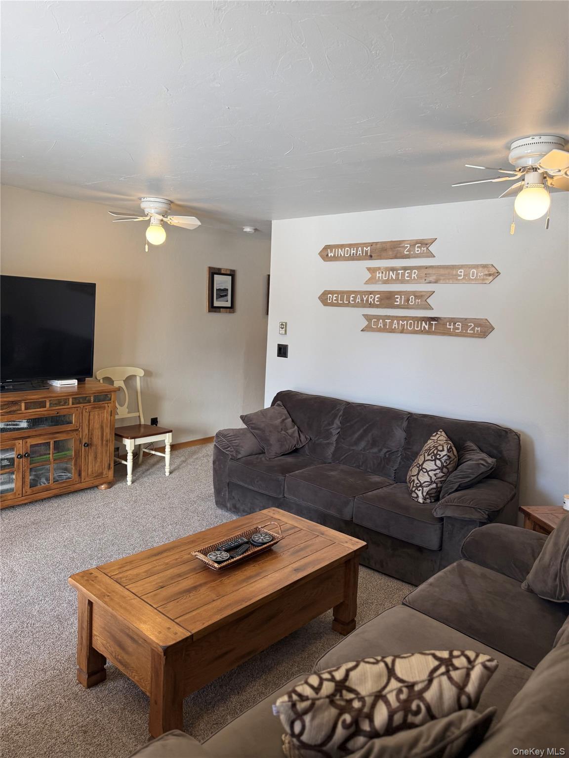 Single Family Quads Greene County, NY 12496, MLS-957003-2