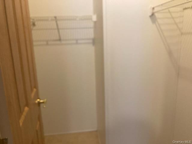 Single Family Old Country  Suffolk County, NY 11901, MLS-957021-18