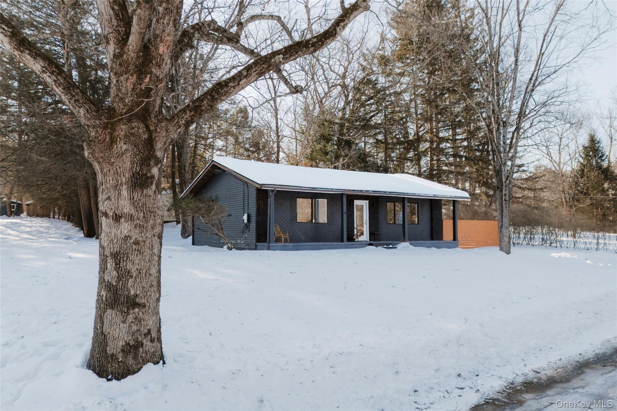 Single Family 4th  Sullivan County, NY 12764, MLS-957054-21