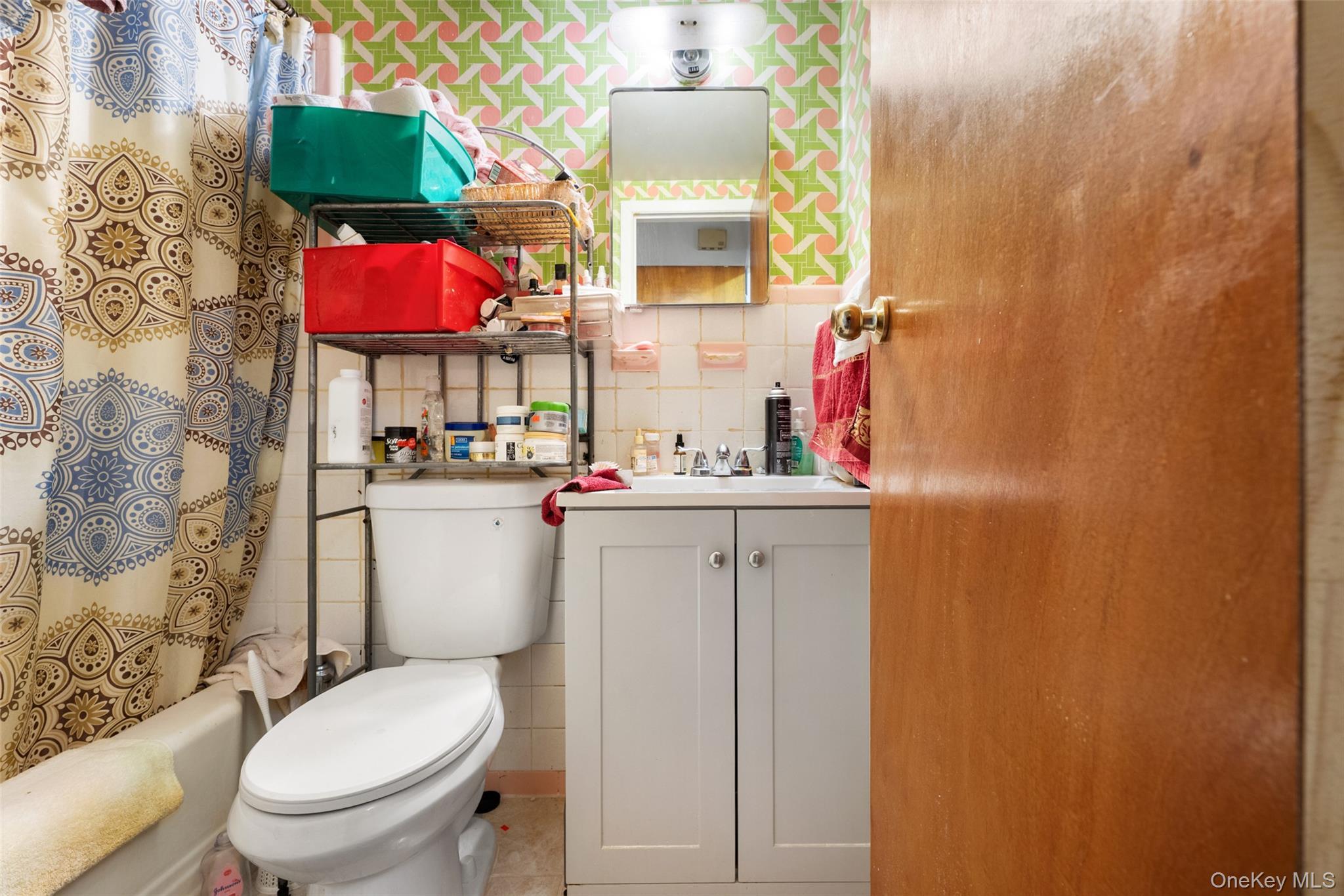 Single Family Cypress Hills Queens, NY 11385, MLS-957151-32