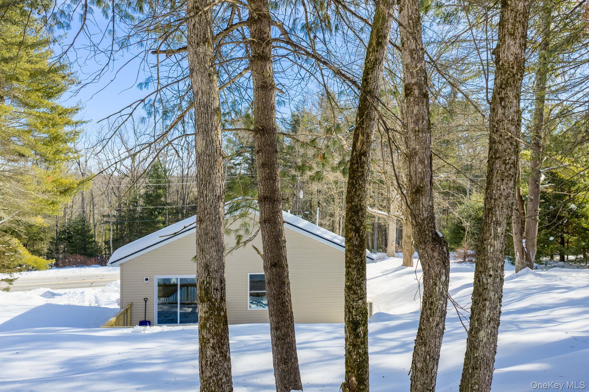 Single Family State Route 55  Sullivan County, NY 12732, MLS-957157-28