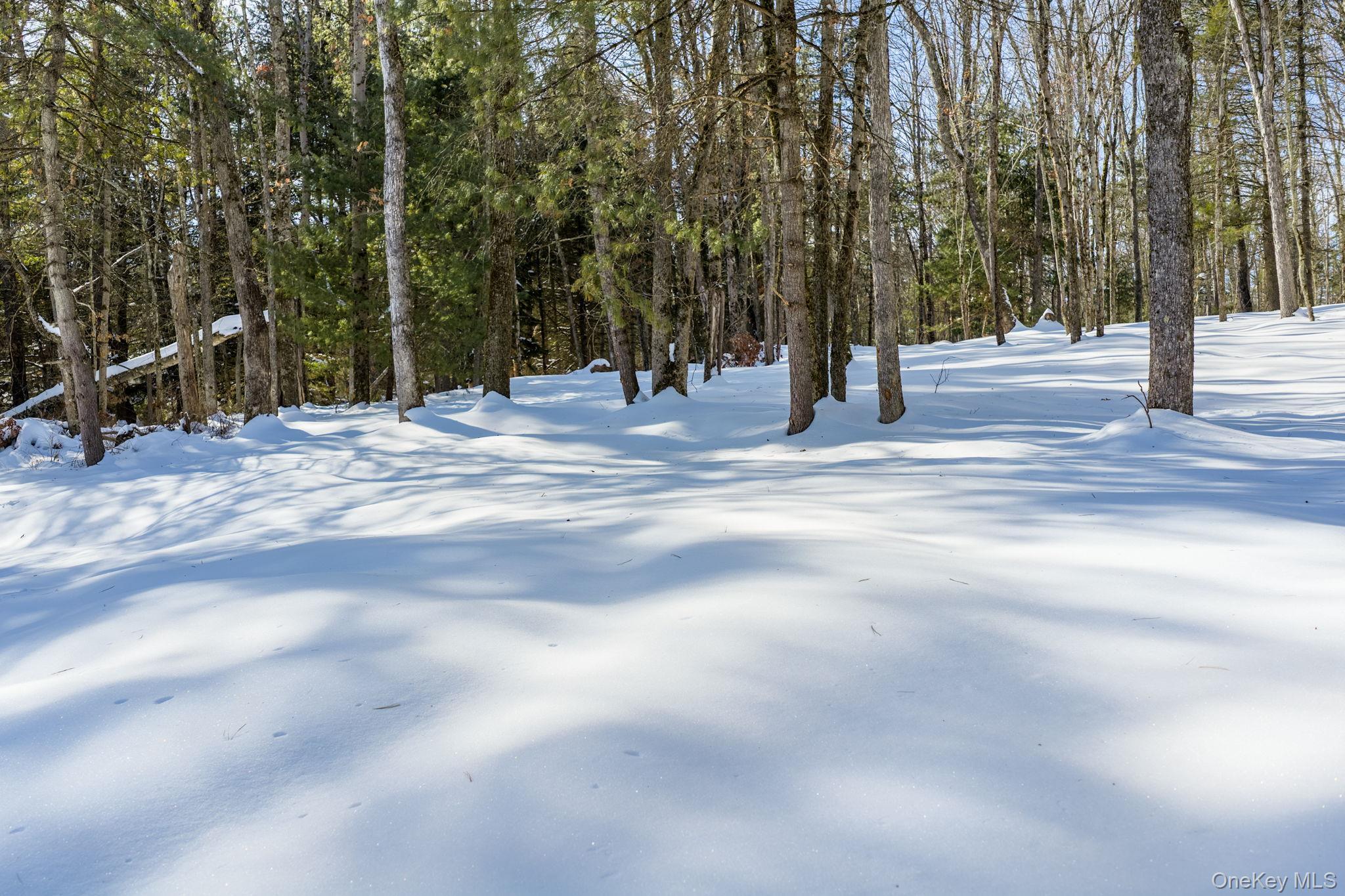 Single Family State Route 55  Sullivan County, NY 12732, MLS-957157-31