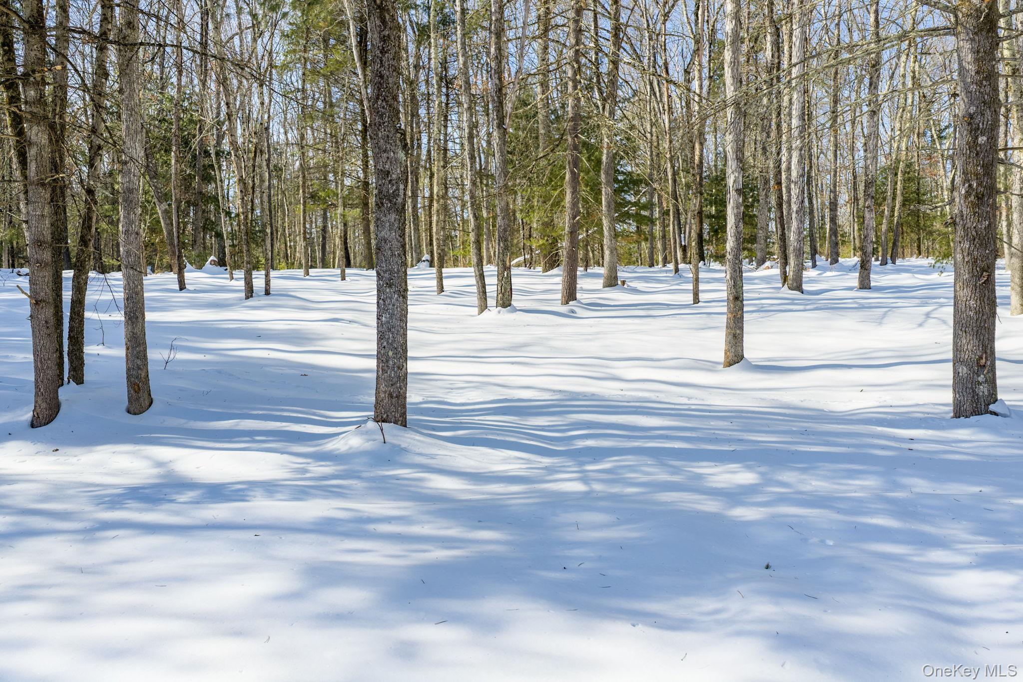 Single Family State Route 55  Sullivan County, NY 12732, MLS-957157-33