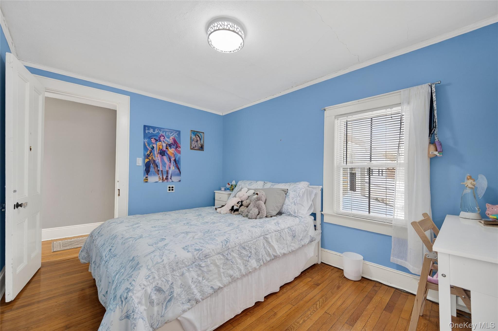 Single Family Perry Avenue Nassau County, NY 11709, MLS-957217-19