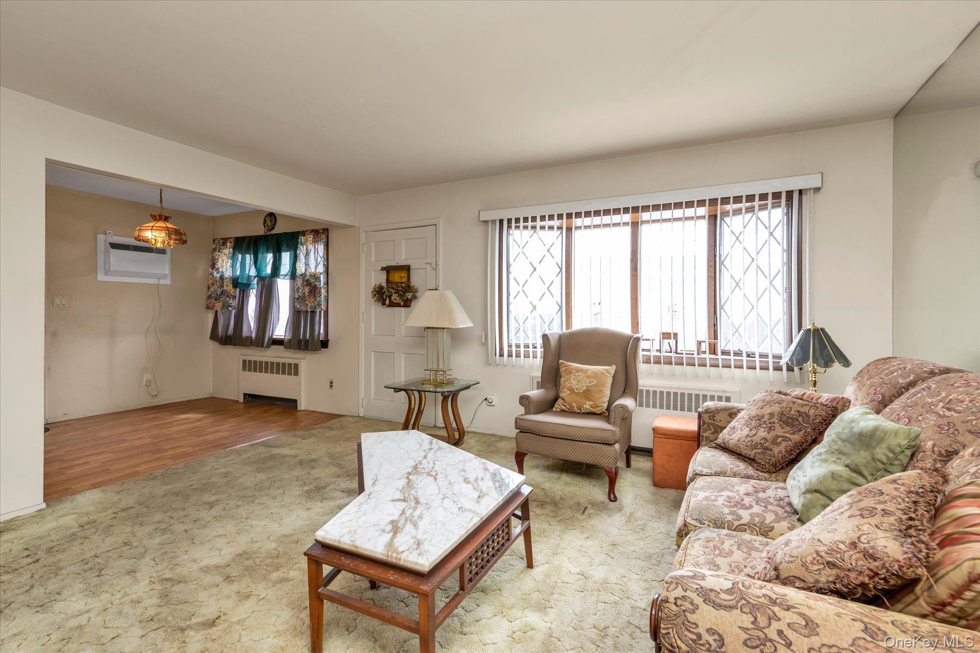 Single Family Hunter  Nassau County, NY 11580, MLS-957257-5