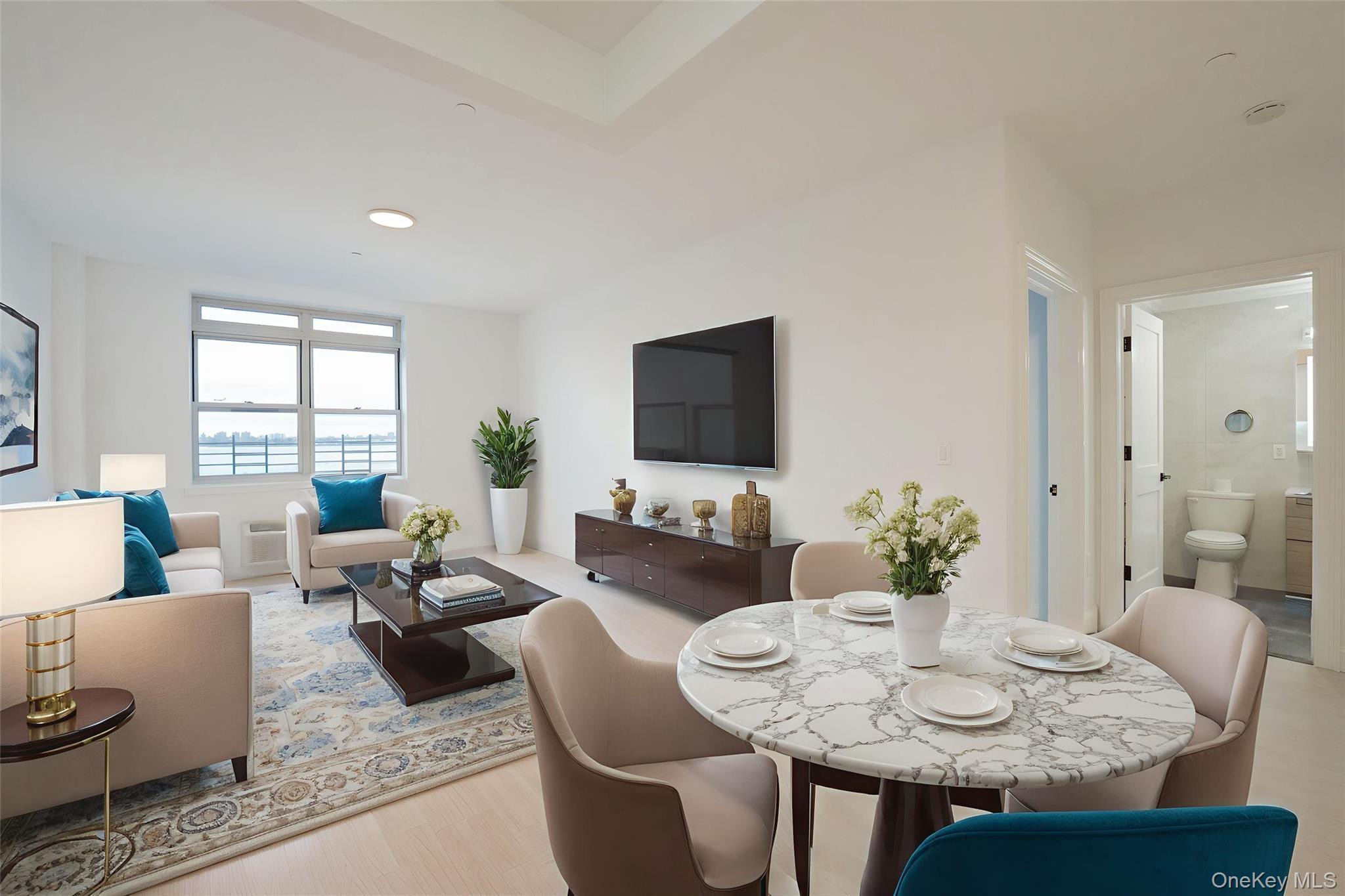 Condo 110th  Queens, NY 11356, MLS-957331-3