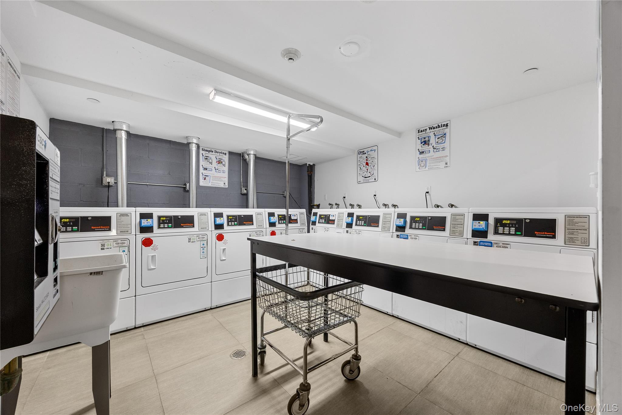 Condo Northern Queens, NY 11354, MLS-957376-10