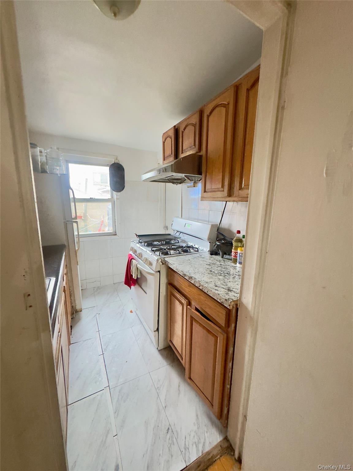 Single Family Roosevelt  Queens, NY 11368, MLS-957501-7