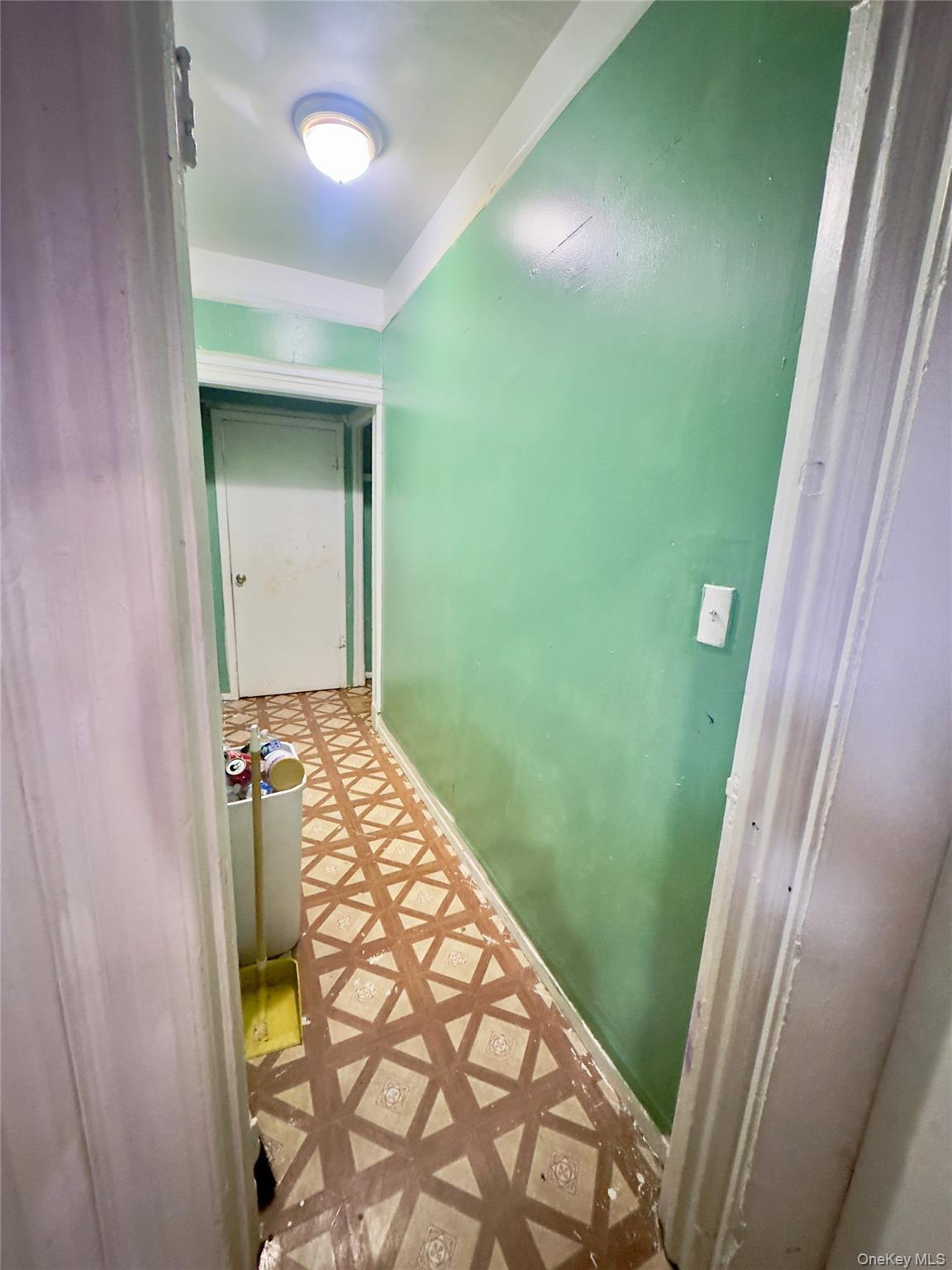 Single Family Roosevelt  Queens, NY 11368, MLS-957501-9