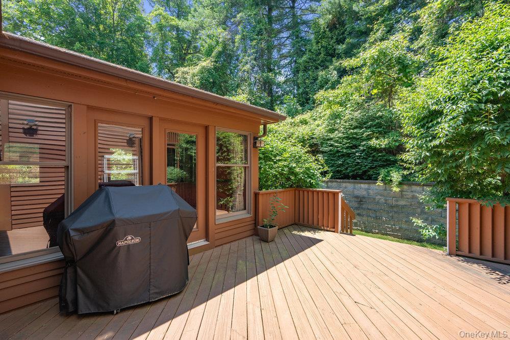 Condo Hunt  Nassau County, NY 11753, MLS-957543-33