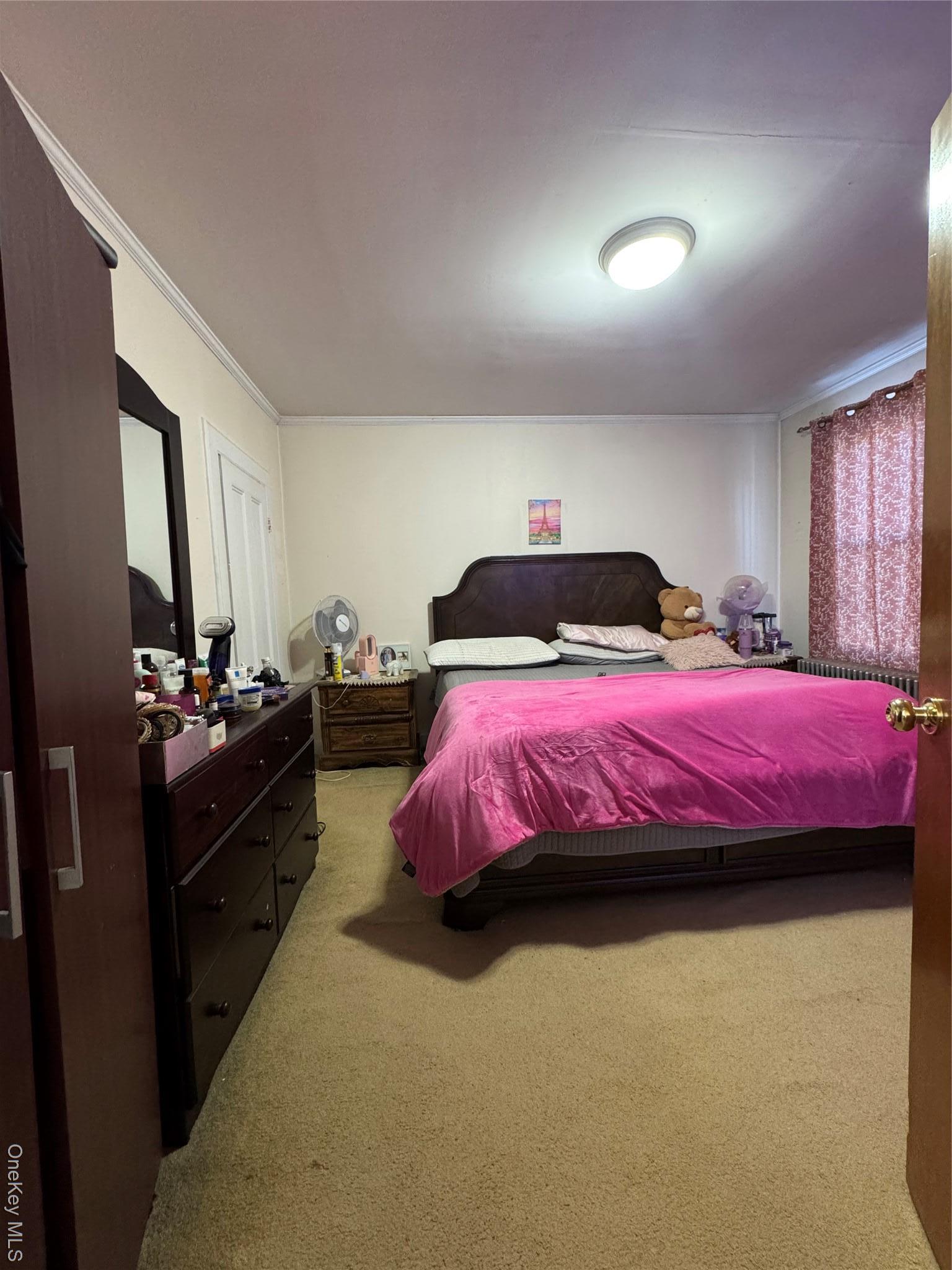 Single Family 240th Bronx, NY 10470, MLS-957551-28