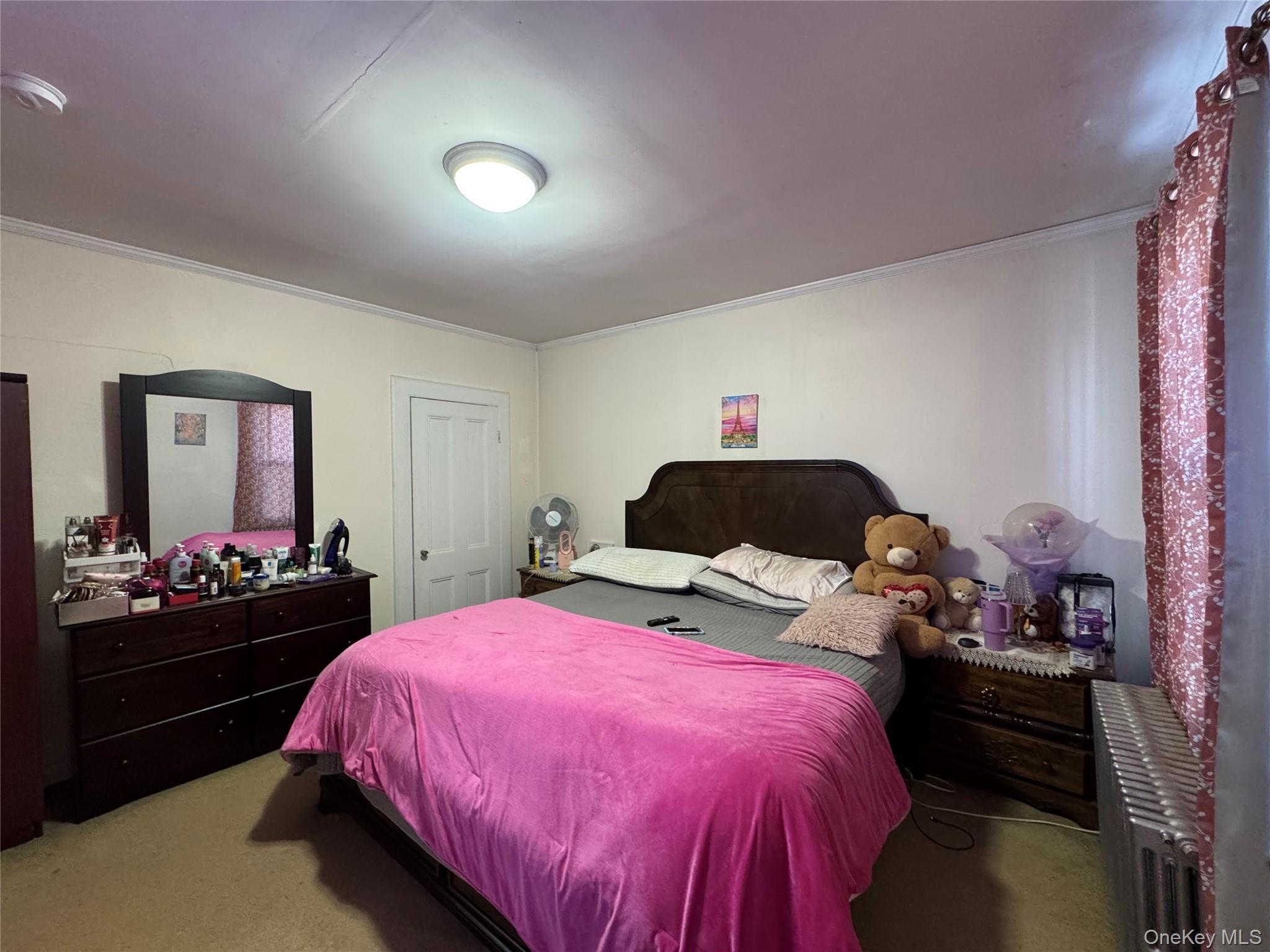 Single Family 240th Bronx, NY 10470, MLS-957551-29