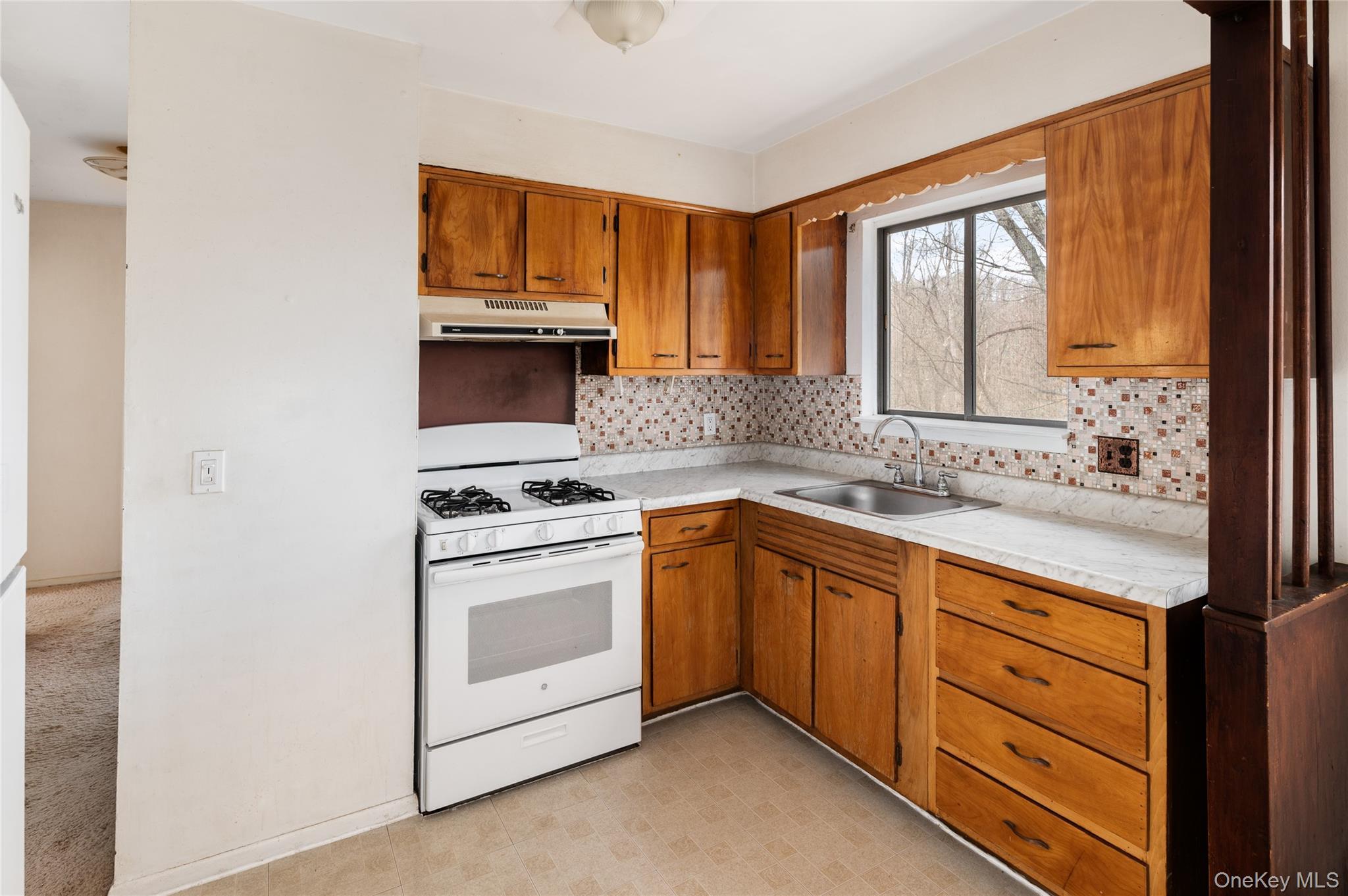 Single Family Beverly Road  Westchester County, NY 10549, MLS-957556-11