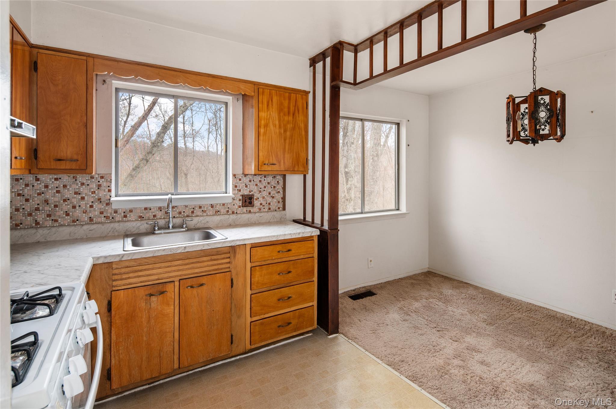 Single Family Beverly Road  Westchester County, NY 10549, MLS-957556-7