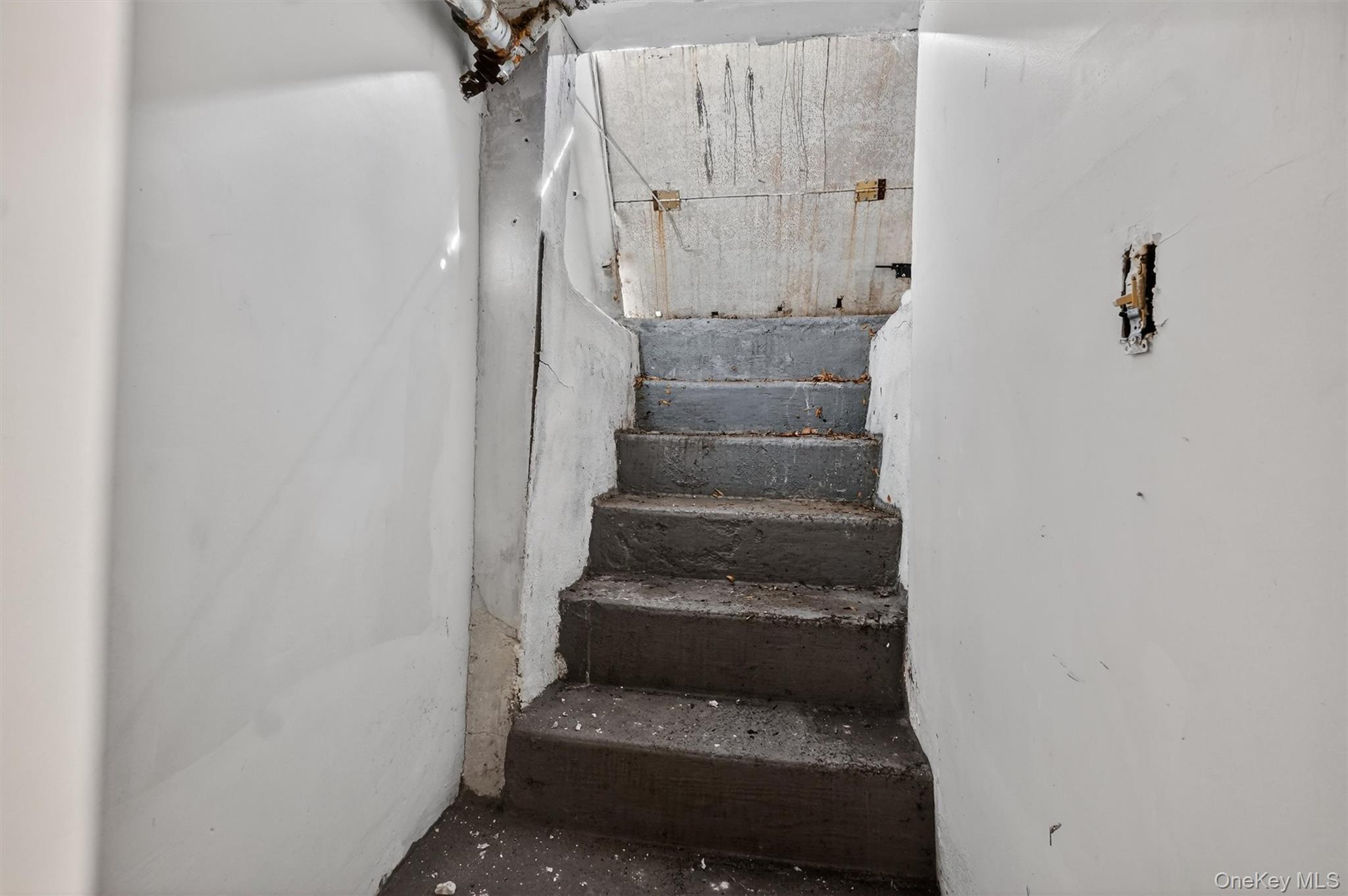 Single Family Norman Queens, NY 11385, MLS-957576-45