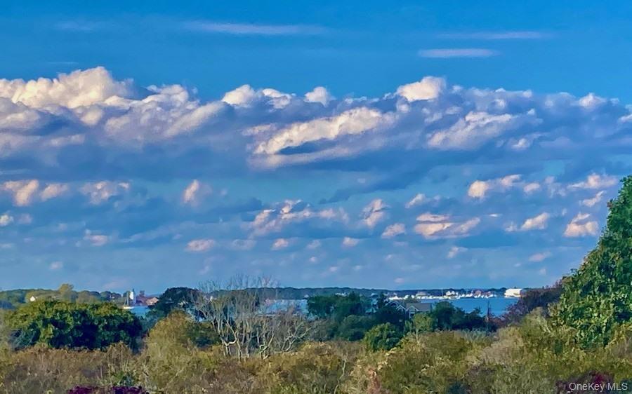 Condo Fulton  Suffolk County, NY 11954, MLS-957599-23