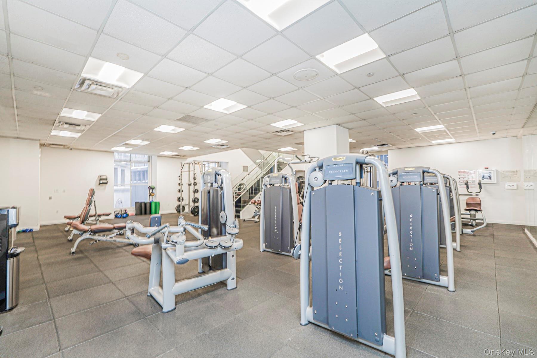 Condo Wall  Manhattan, NY 10005, MLS-957764-16