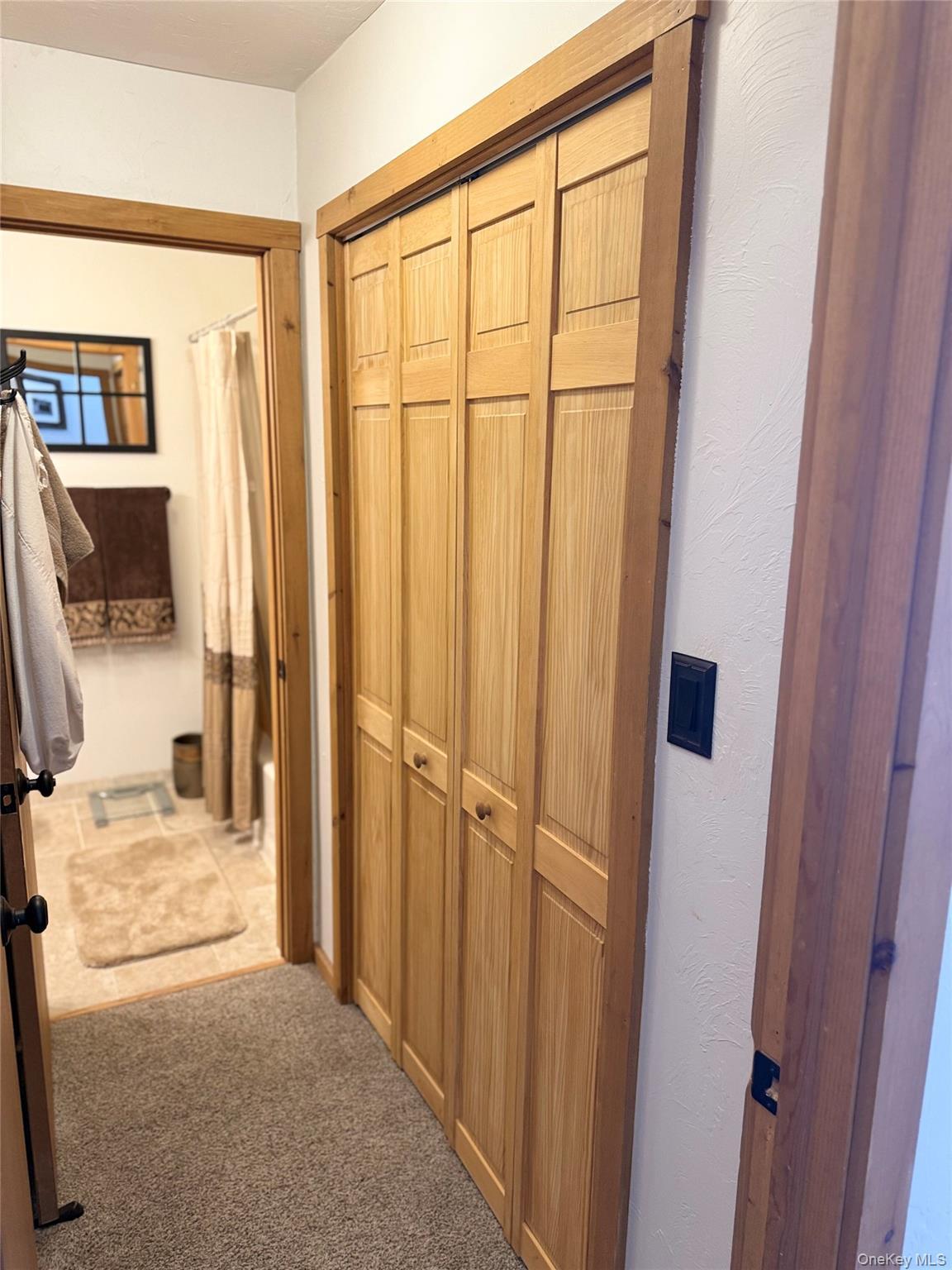 Condo Quads  Greene County, NY 12496, MLS-957836-10