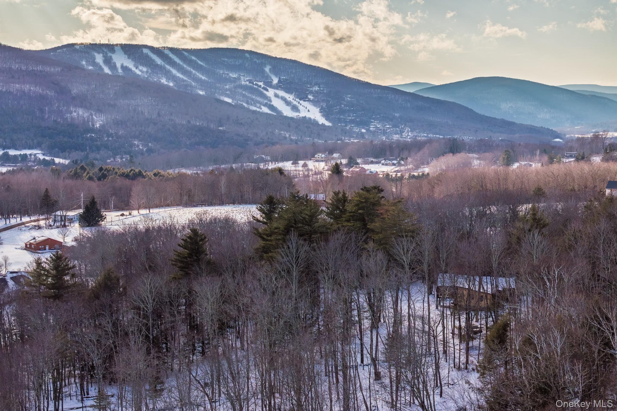 Single Family Windham Farms Road  Greene County, NY 12496, MLS-957893-44