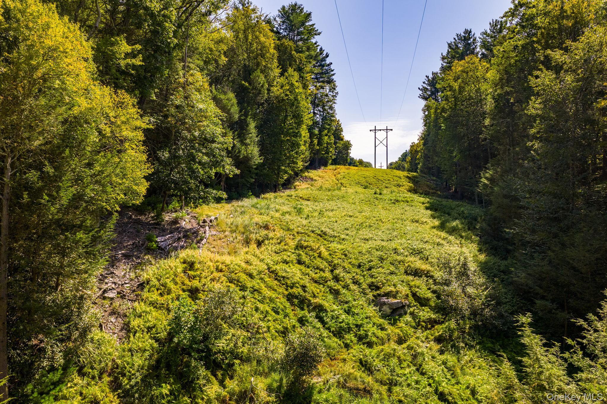 Single Family Shingle Kill  Orange County, NY 12780, MLS-957949-33