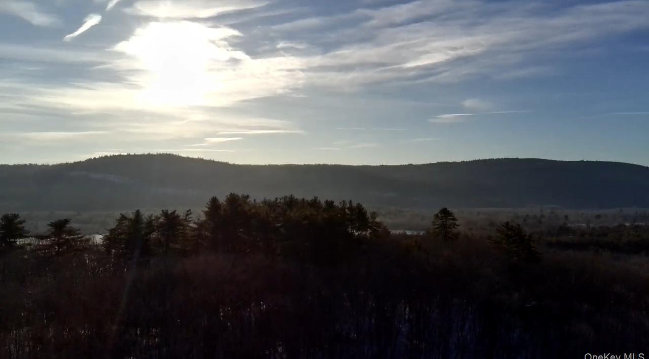 Single Family Oak St  Sullivan County, NY 12790, MLS-957957-12