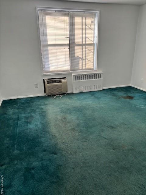 Coop 41  Queens, NY 11361, MLS-957975-4