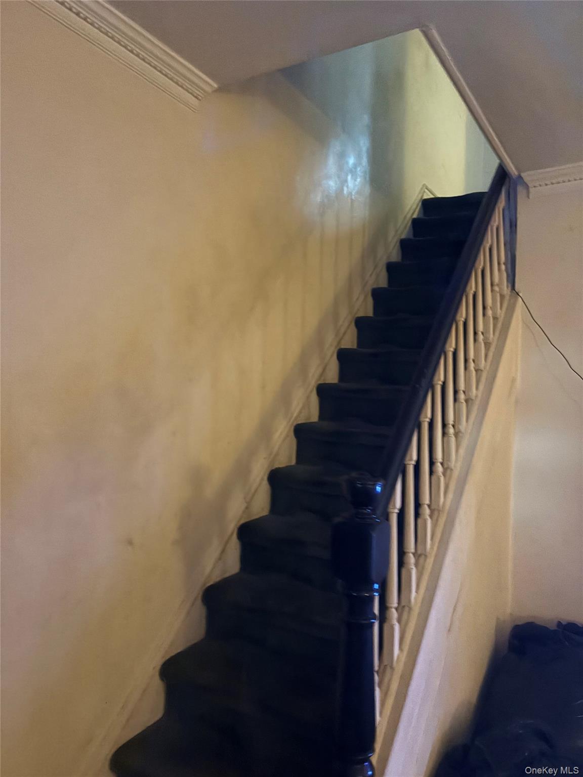 Single Family 51st  Brooklyn, NY 11203, MLS-958025-2