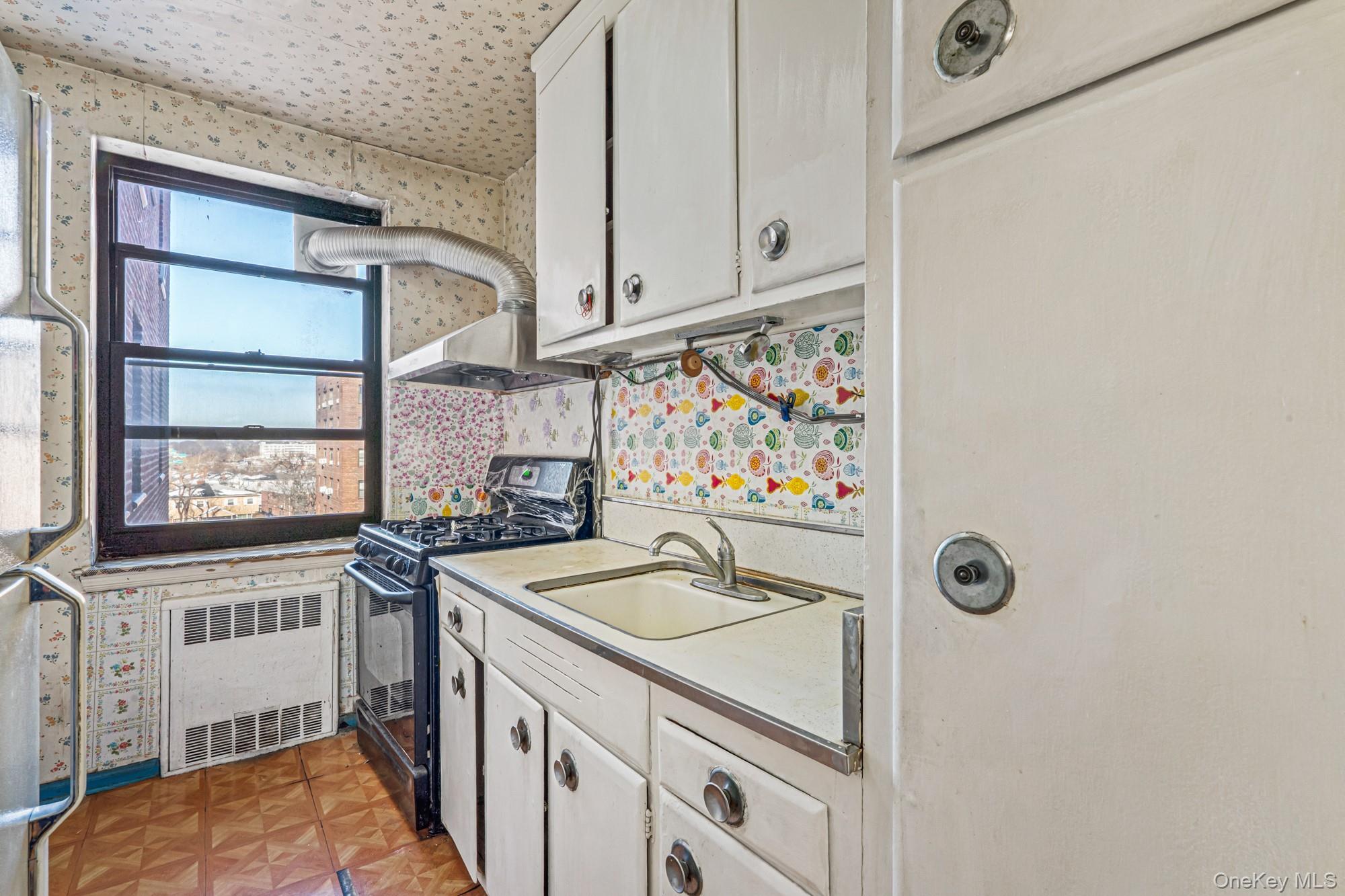 Coop Union  Queens, NY 11354, MLS-958146-15