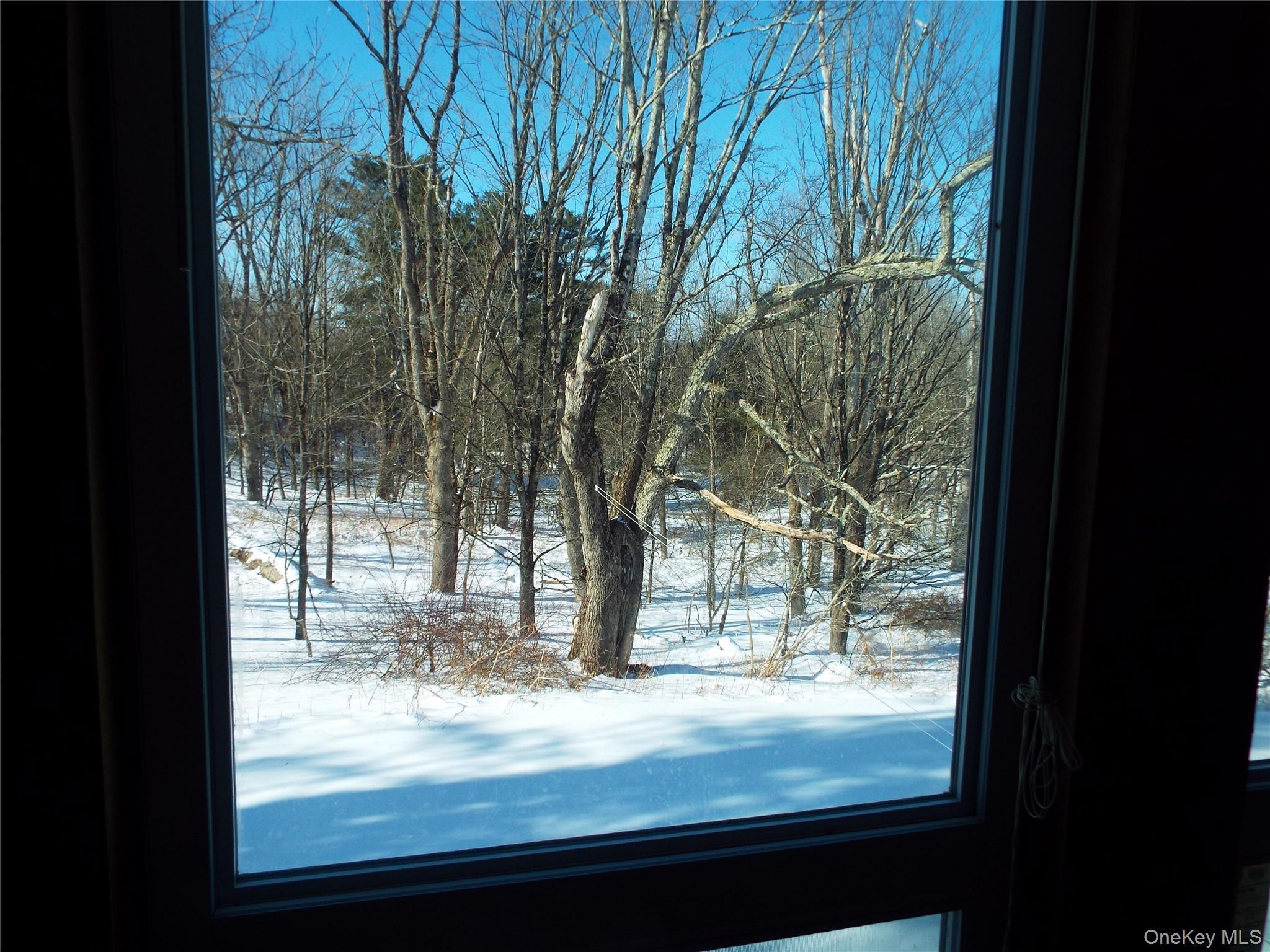 Single Family Route 17b  Sullivan County, NY 12726, MLS-958149-23