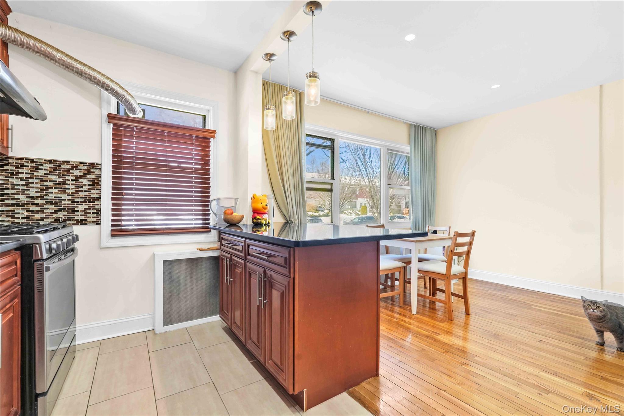 Coop Jewel  Queens, NY 11367, MLS-958222-19