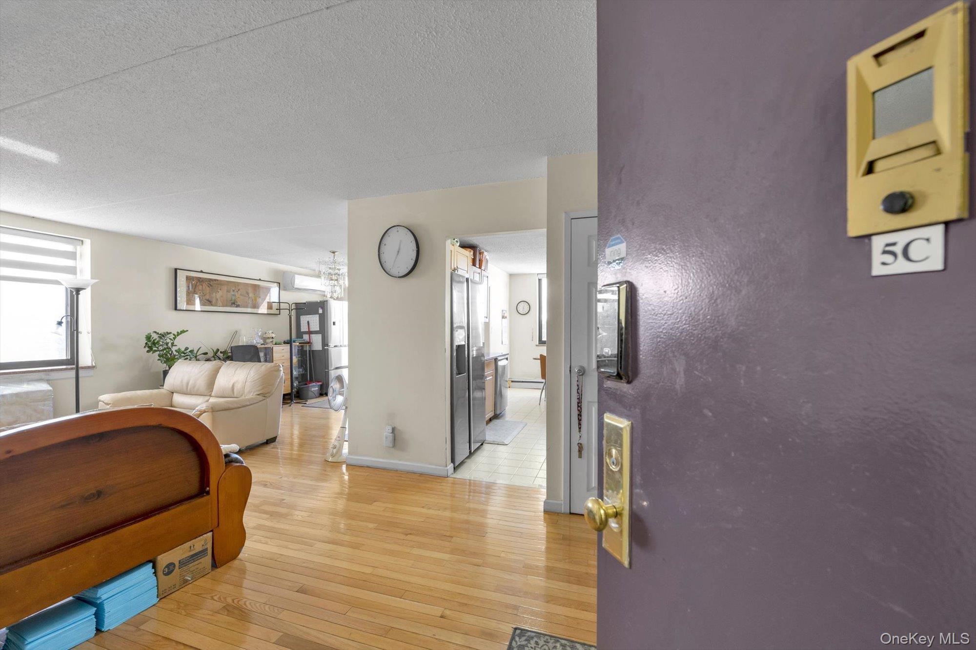 Condo Roosevelt  Queens, NY 11354, MLS-958277-2