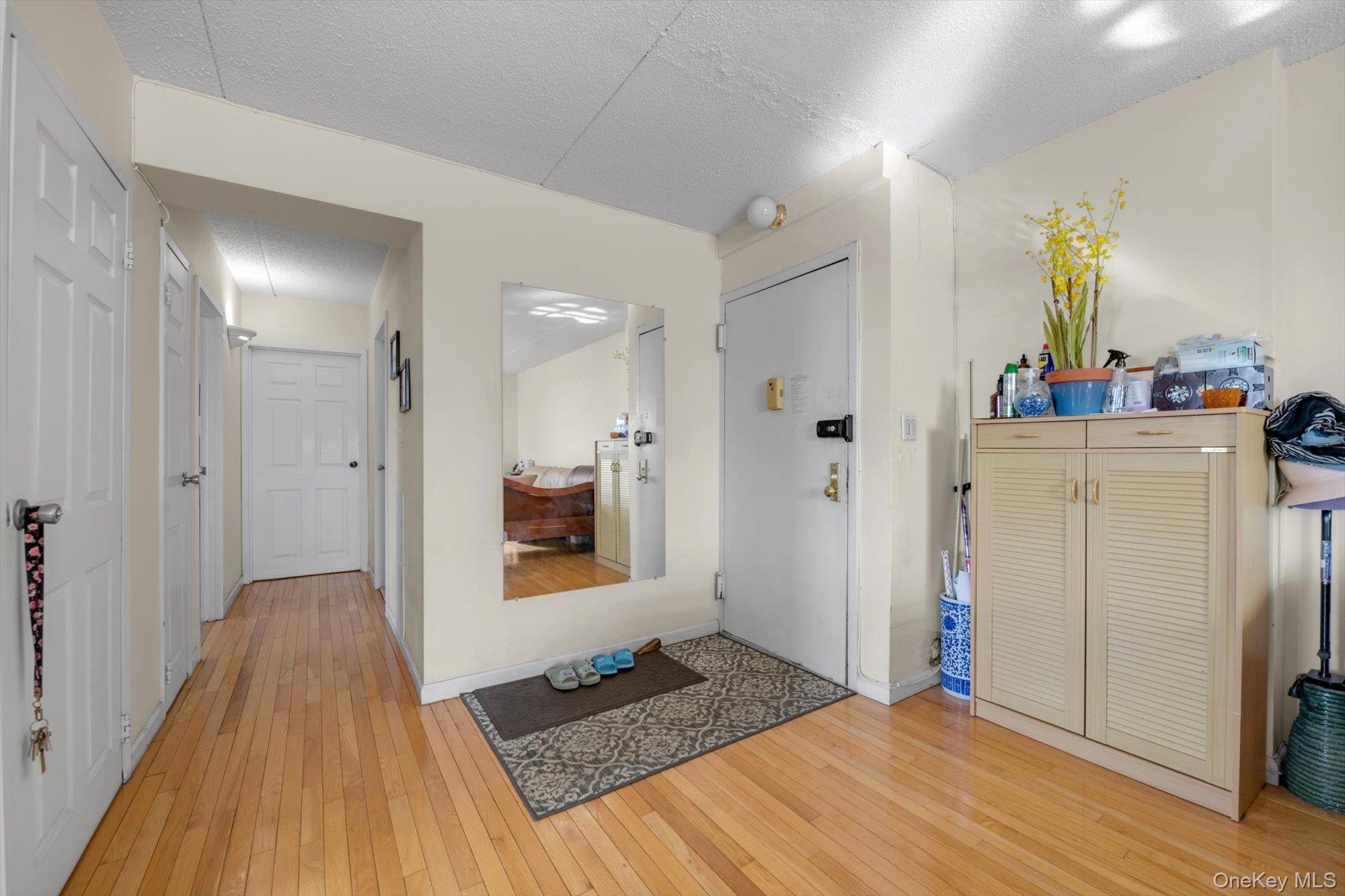 Condo Roosevelt  Queens, NY 11354, MLS-958277-3