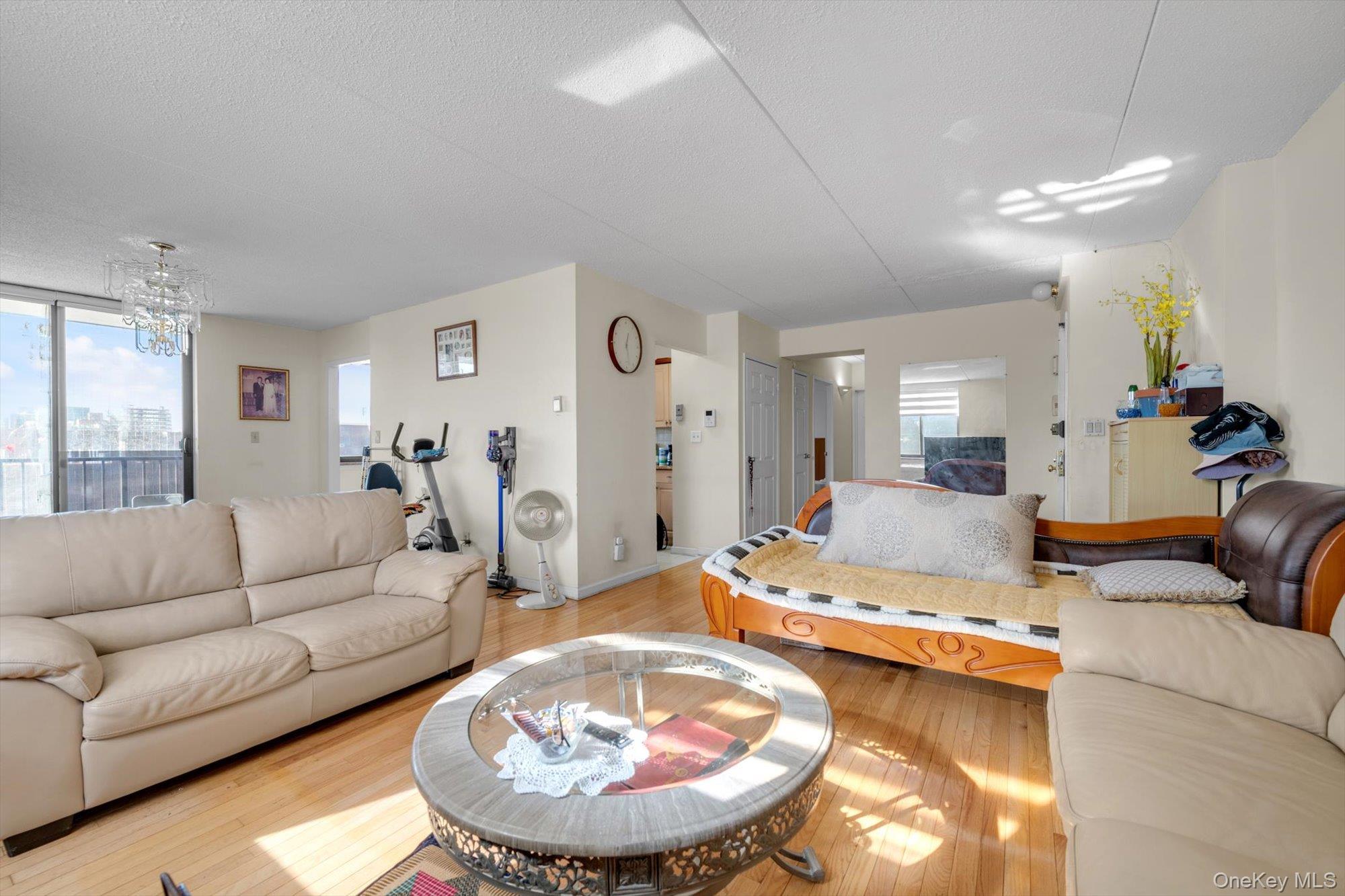 Condo Roosevelt  Queens, NY 11354, MLS-958277-4