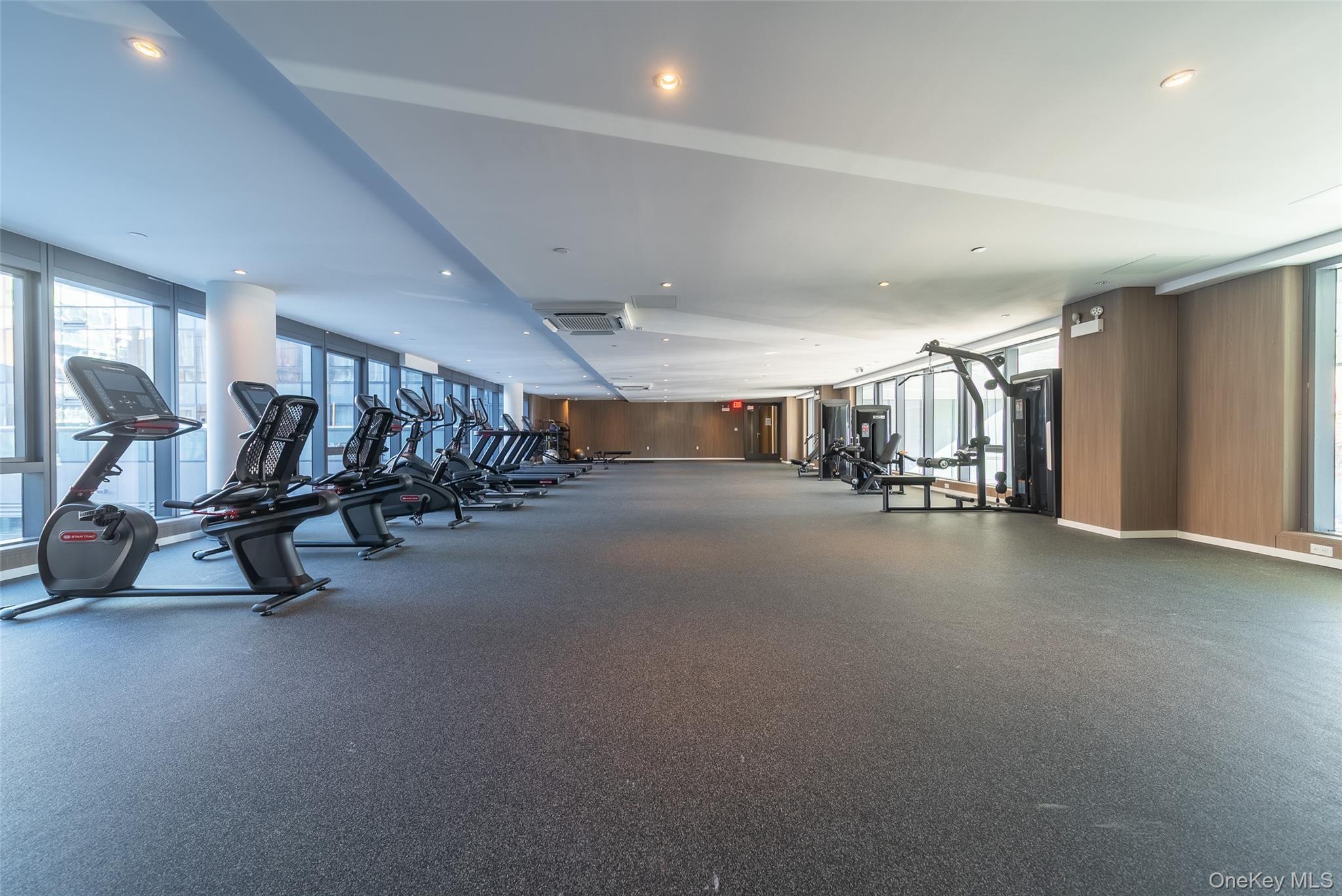 Condo Northern  Queens, NY 11354, MLS-958279-14