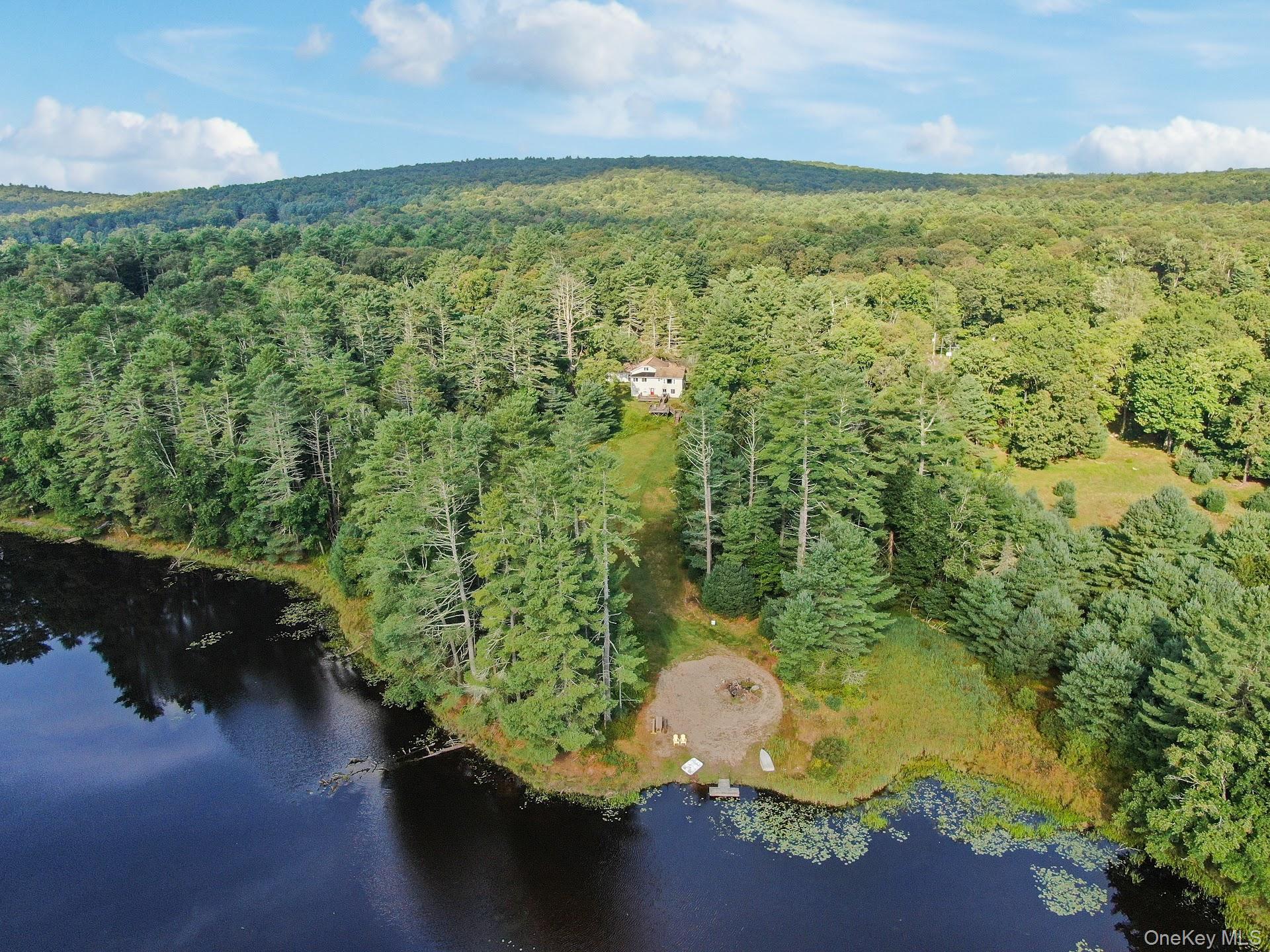 Single Family Beaver Brook  Sullivan County, NY 12764, MLS-958290-3